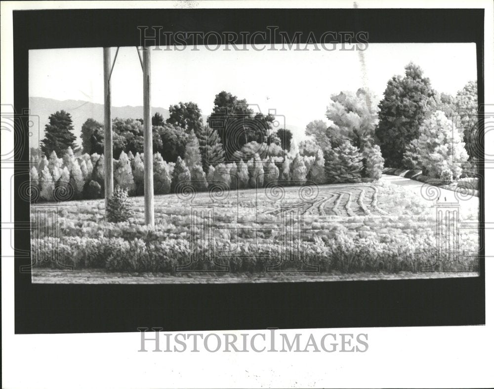 1987 Jim Nawara Painting Art Field - Historic Images