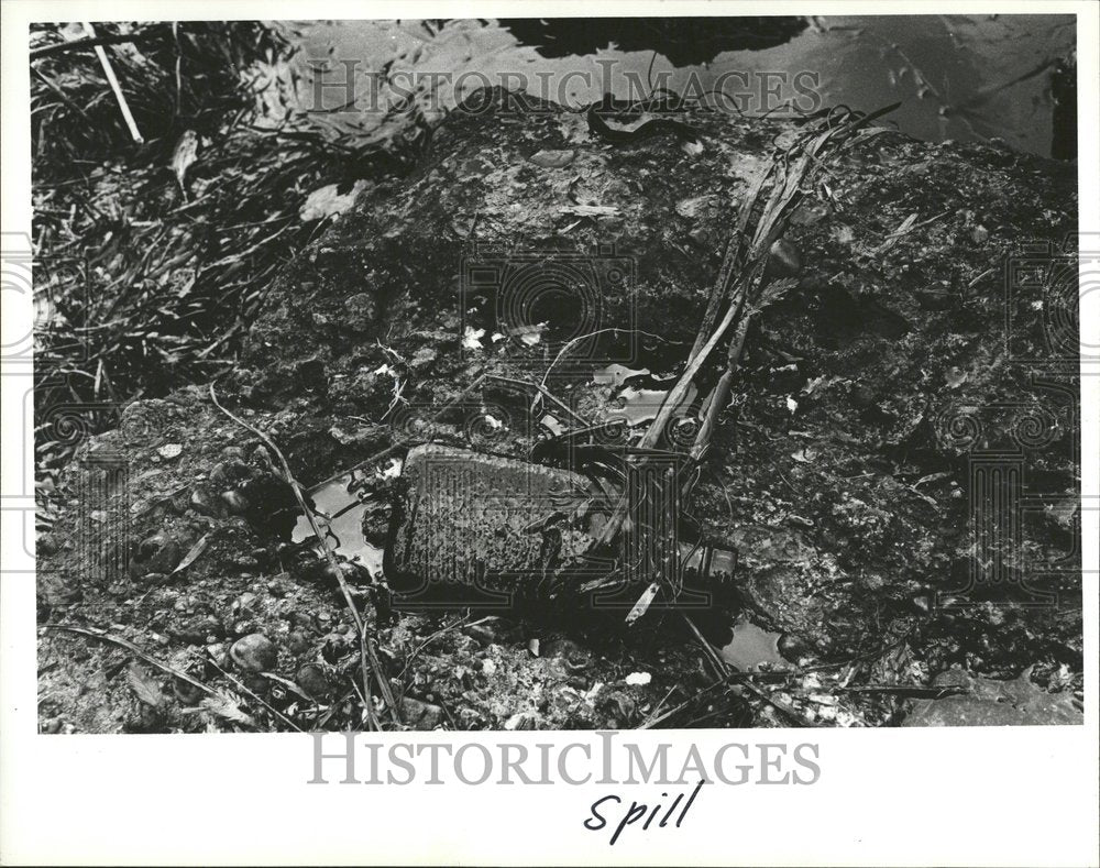 1981 Oil Spill At Detroit Boat Club - Historic Images