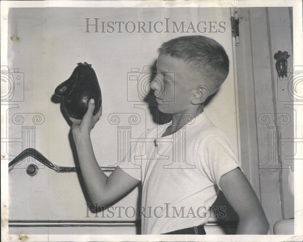 1962 Olaf Pokrajac Displays Rare Eggplant - Historic Images