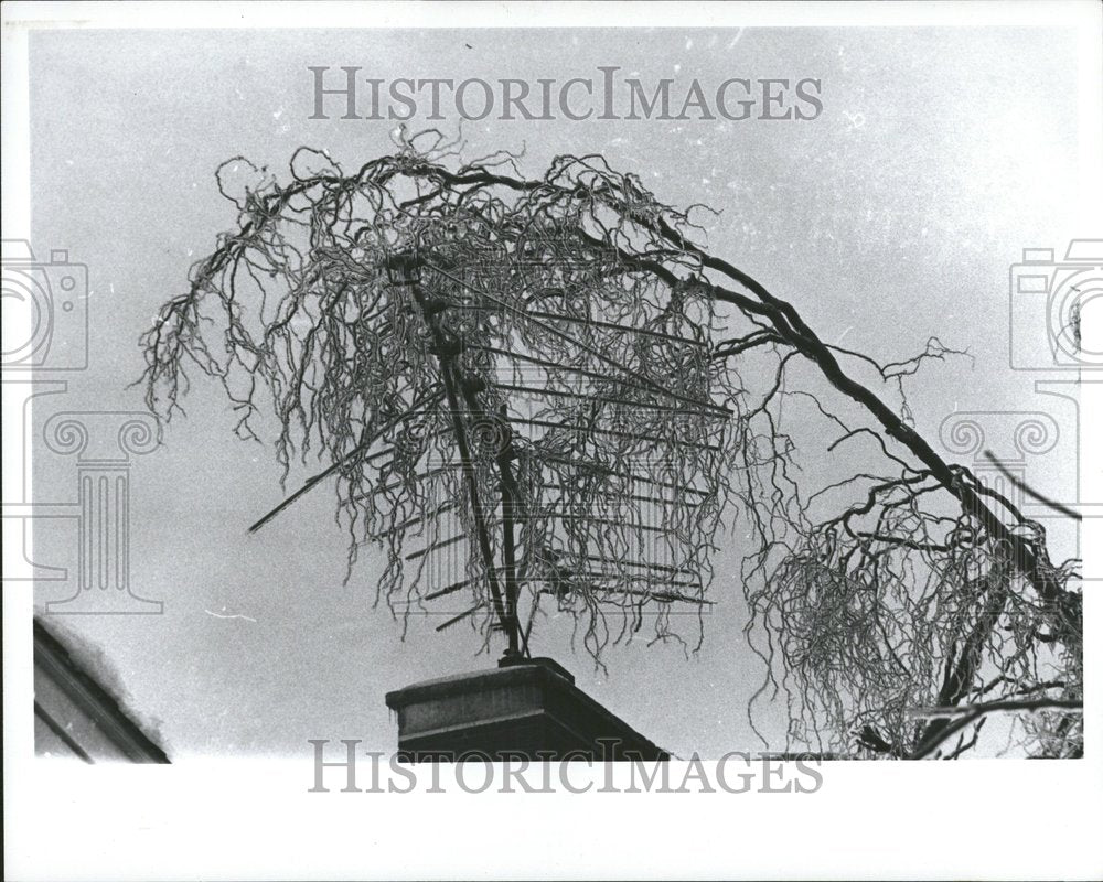 1976 TV Antenna Stroms Southfield Michigan - Historic Images