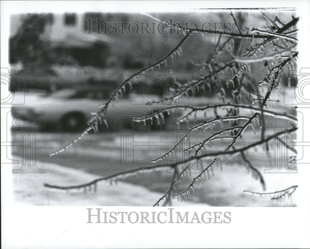 1975 Ice storm, Southfield, Michigan - Historic Images