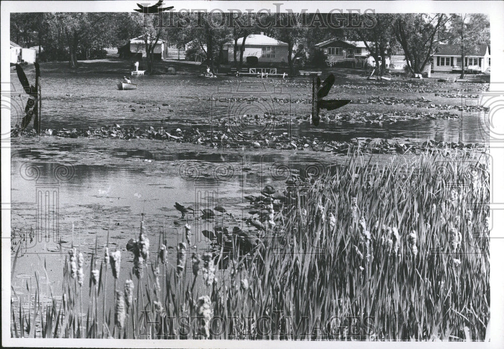 1972 Commerce Twp Story Weed Wolverine Lake - Historic Images