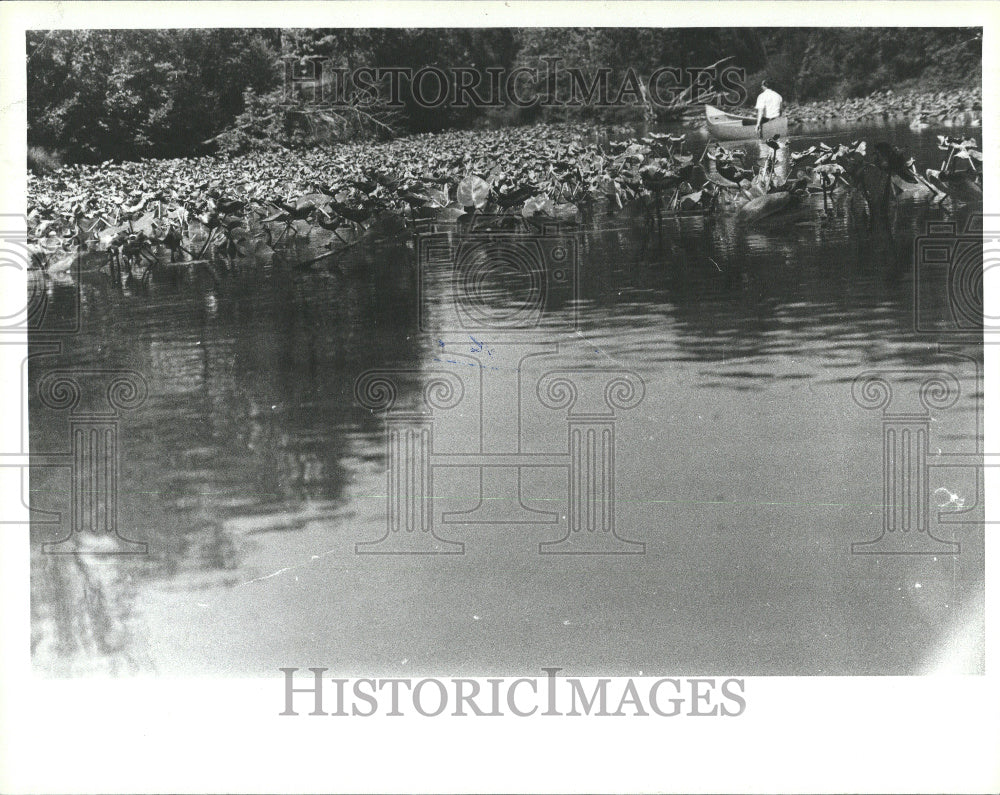 1979 Oakwoods Metropark Michigan Huron Lake - Historic Images