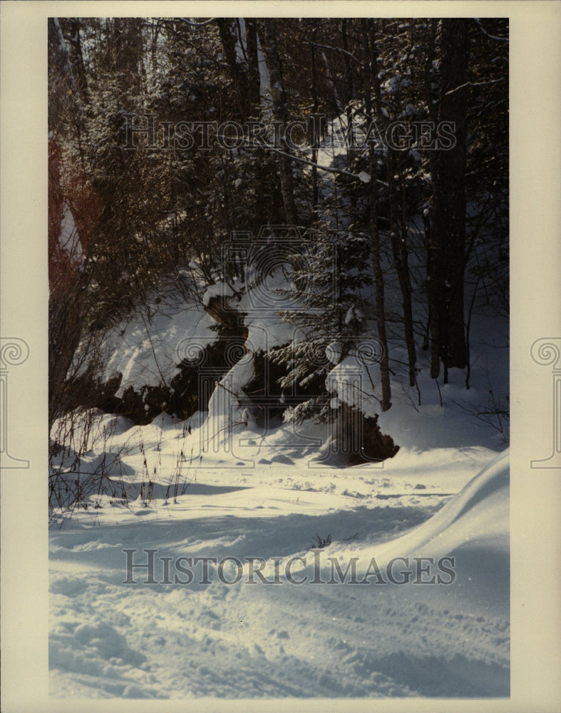 1982 Muinsing, Mich Winter - Historic Images