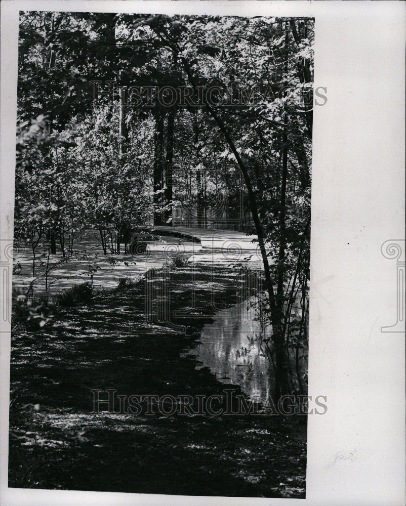 1978 Nature Trail Stoney Creek Metro Park - Historic Images