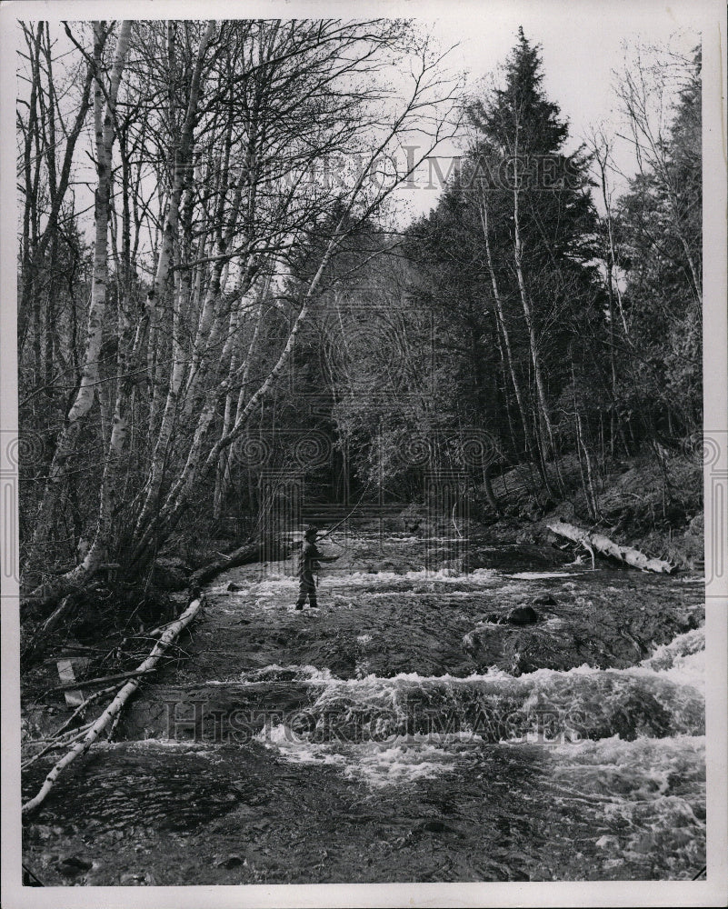 1958 Porcupine State park, Michigan. - Historic Images