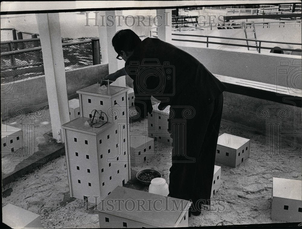 1968 Brook field  Zoo - Historic Images