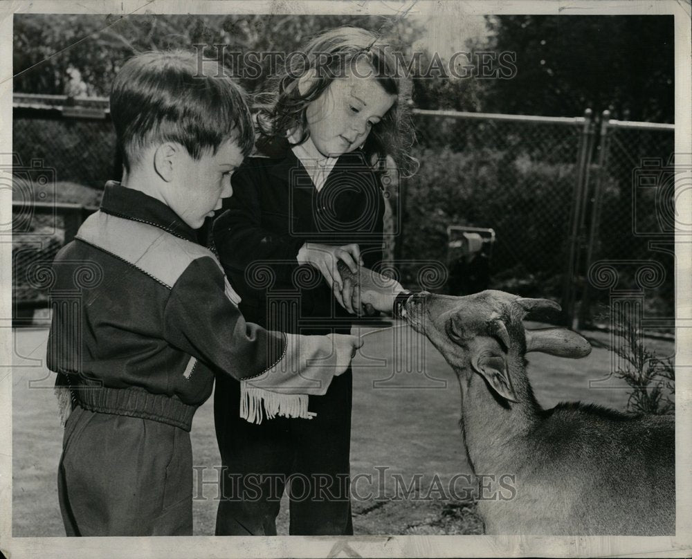 1954 Zoological Garden Park Public Bred Zoo - Historic Images