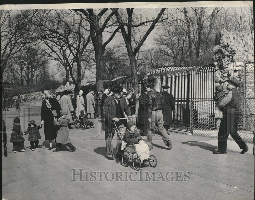 1953 Lincoln Park Zoo Member Association - Historic Images