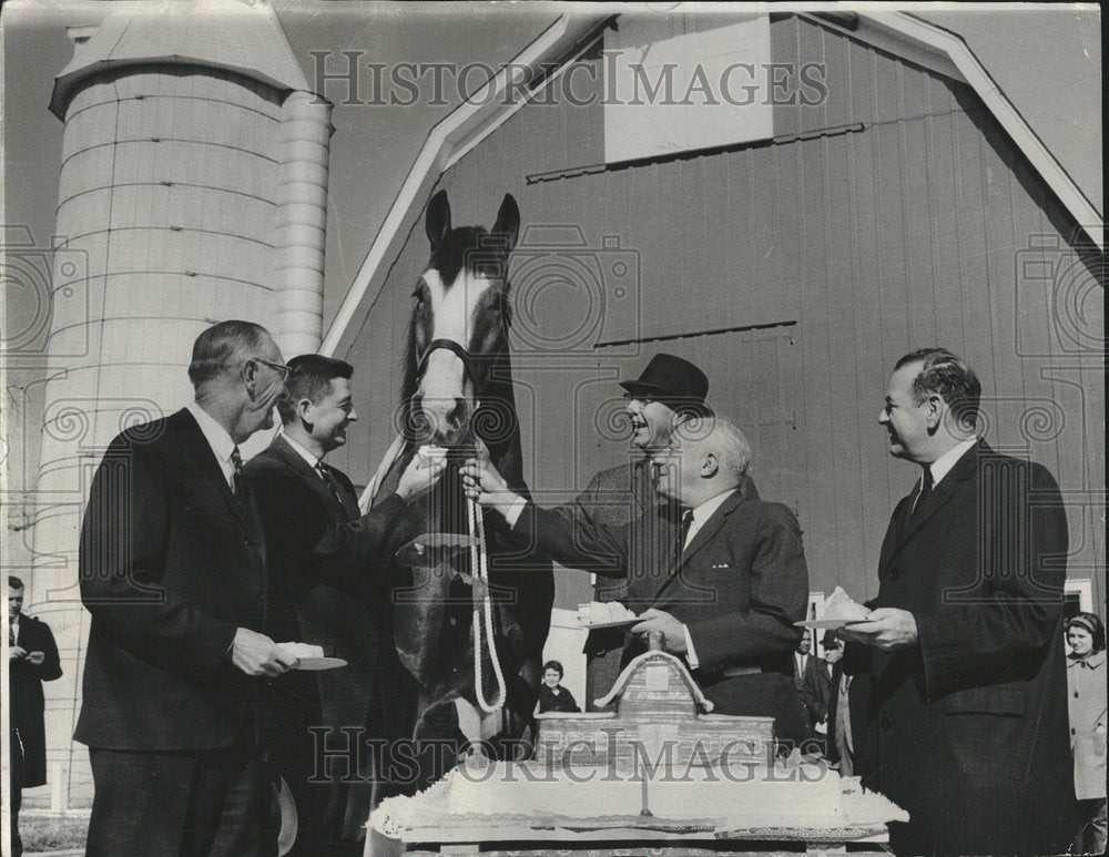 1965 Lincoln Park Zoo Lester Horse Gilbert - Historic Images