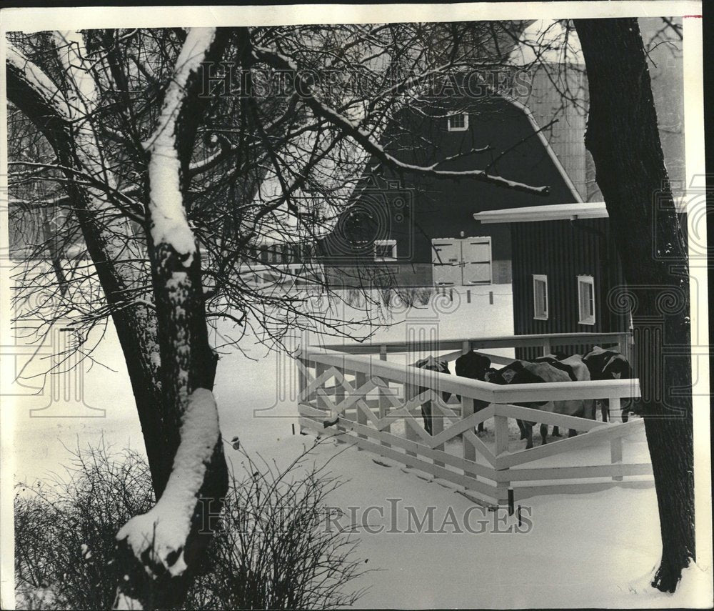 1964 Lincoln Park Zoo Free Association Acre - Historic Images