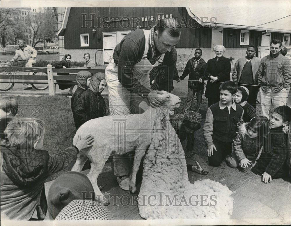 1967 Mr Robert Welsh Sheep Hair Cut Kids - Historic Images