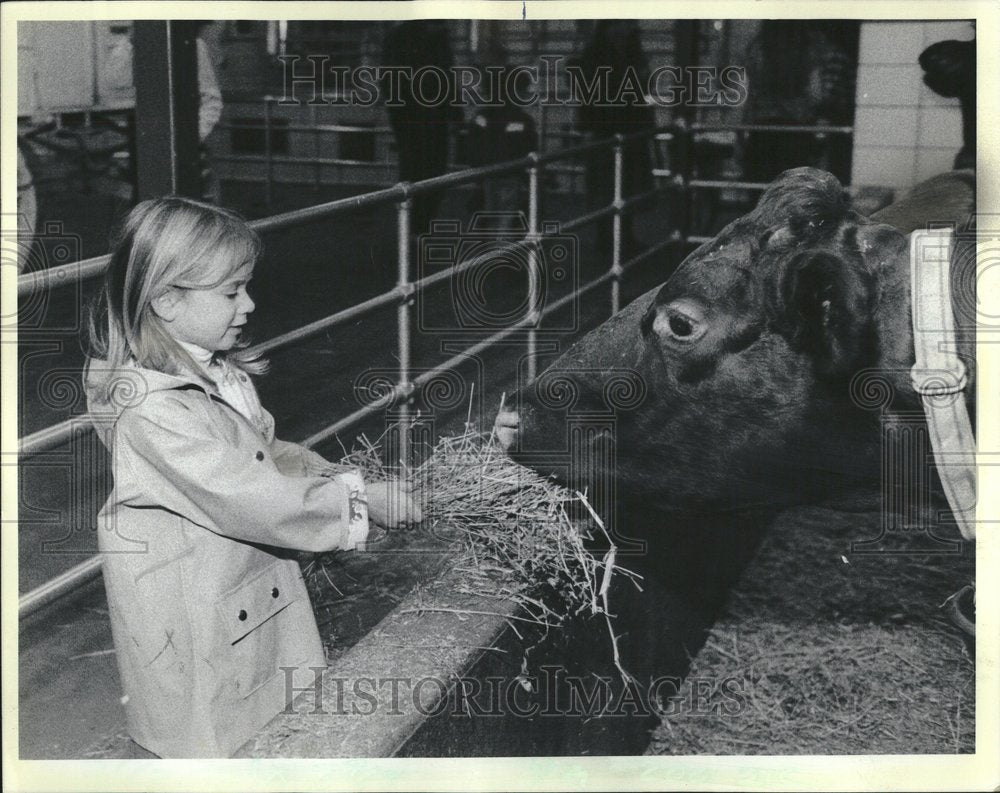 1983 Lincoln Park Zoo view Cow Farm One - Historic Images