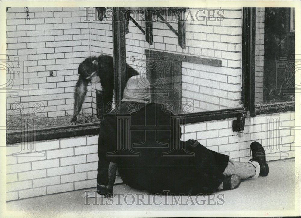 1981 Monkey Lincoln Park Zoo Children Cold - Historic Images