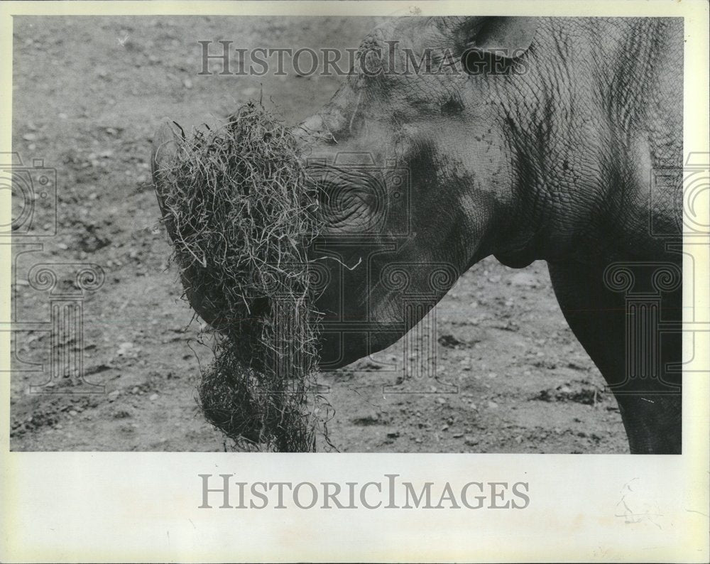 1984 Lincoln Park Zoo Mid Day Meal Illinois - Historic Images