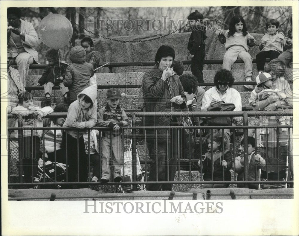 1984 Lincoln Park Zoo Pool Lion - Historic Images