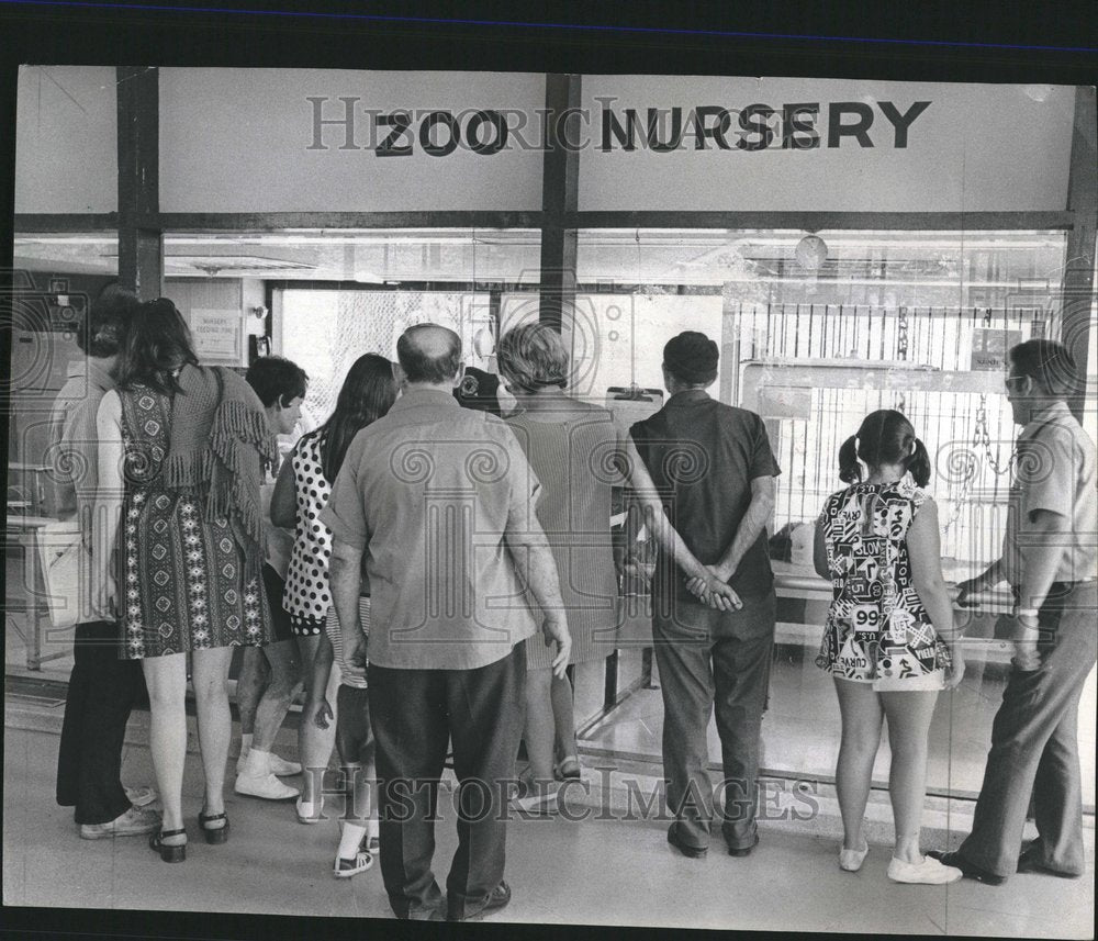 1971 Sunday Visitors to Lincoln Park Zoo - Historic Images