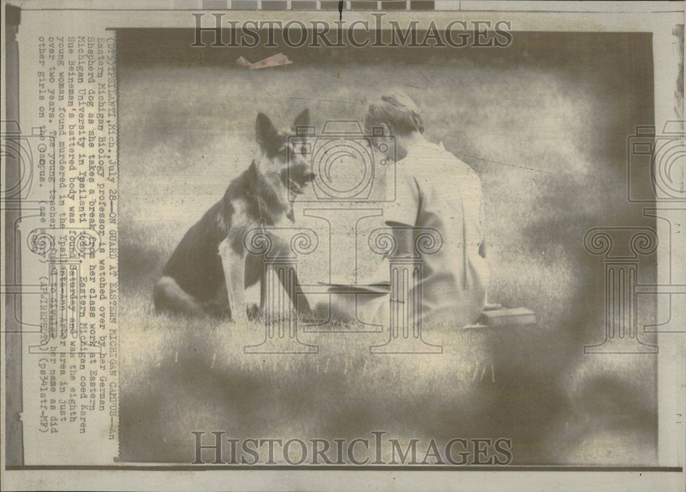 1969 German Shepard Dog - Historic Images