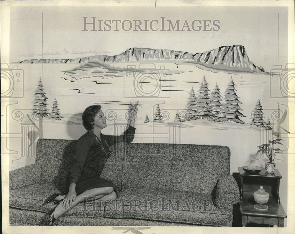 1964 Wall Murals Decorating Room Pattern - Historic Images