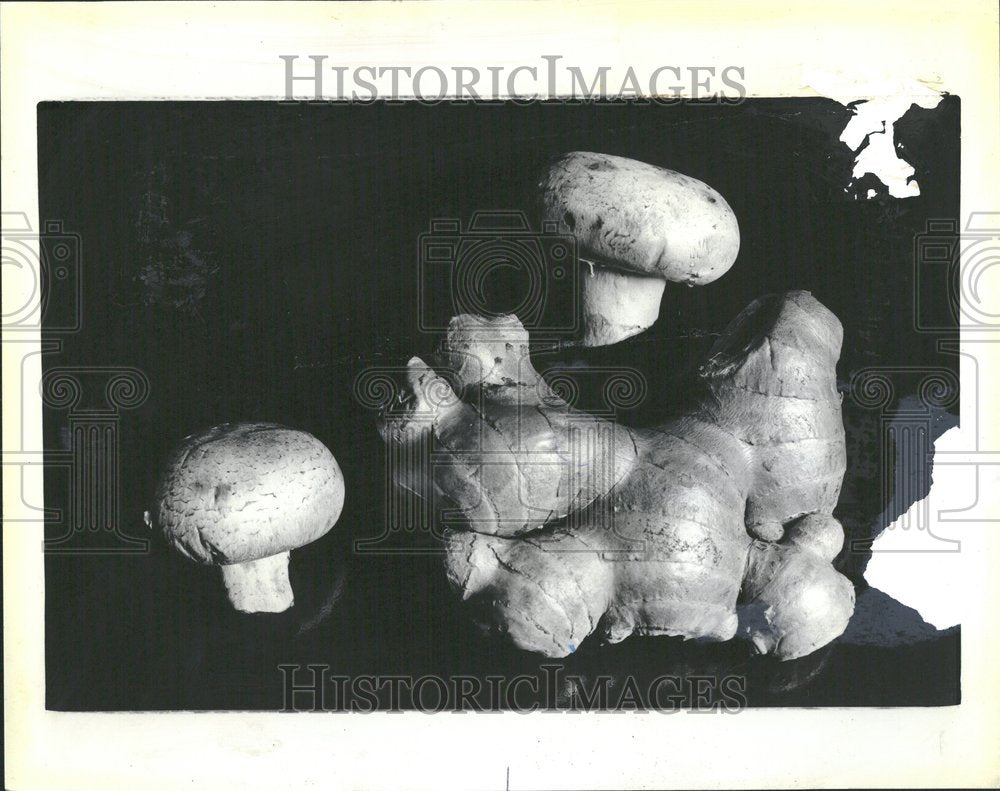 1983 bite bland mushroom ginger - Historic Images