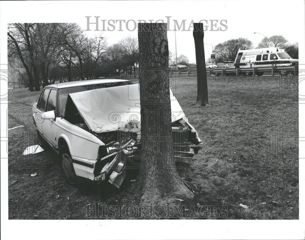 1994 Car Crash Into Tree On Lake Shore Dr. - Historic Images