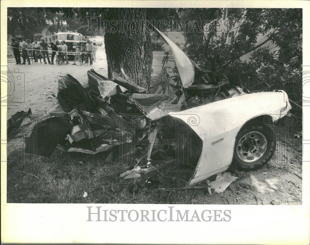 1984 Car Hit Tree And Split In Two - Historic Images