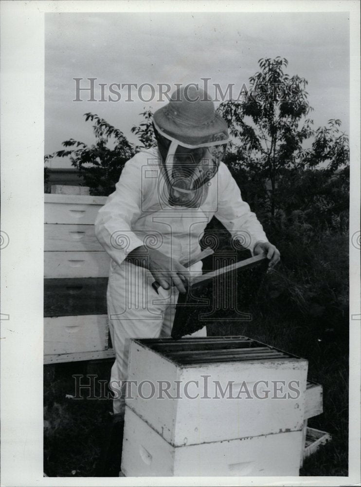 1993 Charles Lorence Honeycomb Hive Honey - Historic Images