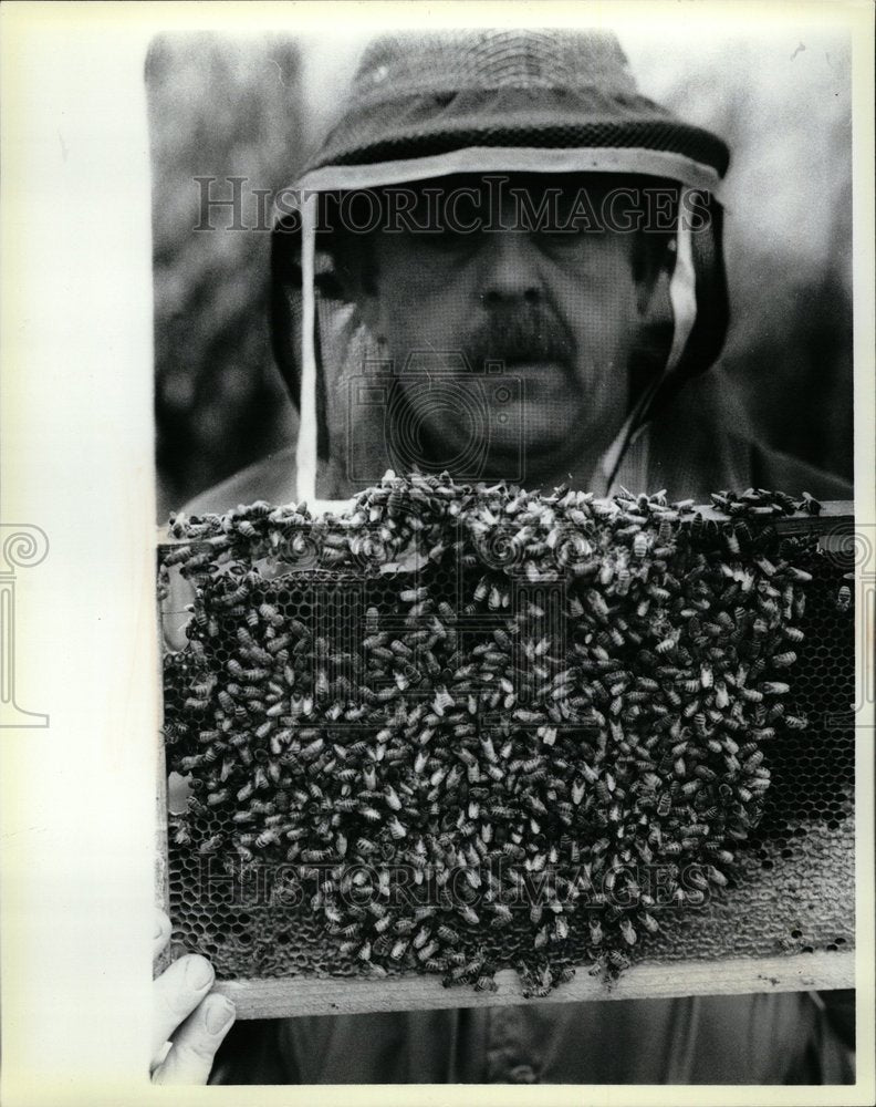 1986  A Man And His Bees - Historic Images