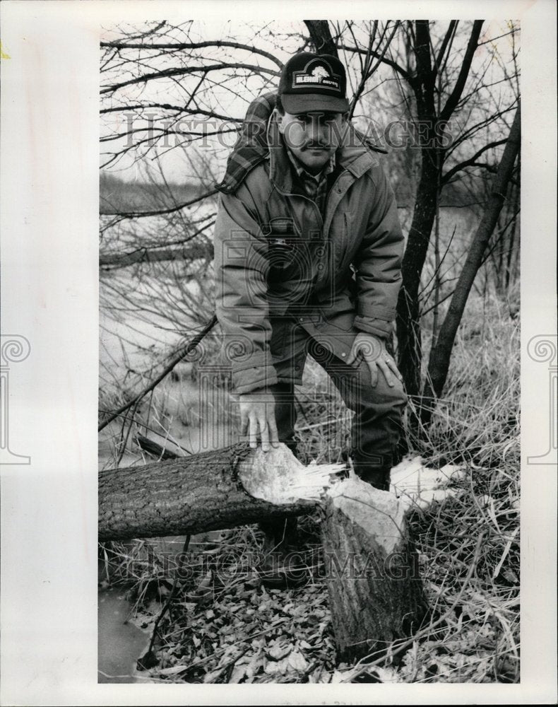 1990 Beavers/Dam/Flooding/Endangered Birds - Historic Images