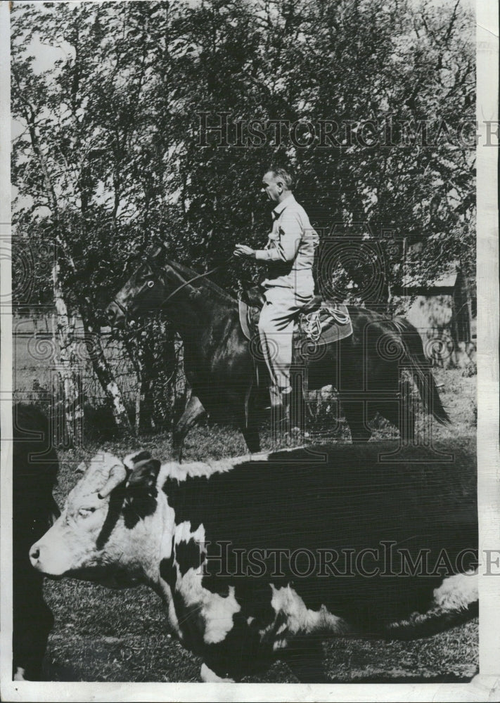 1963 Lyndon Johnson Hereford Cattle Ranch - Historic Images