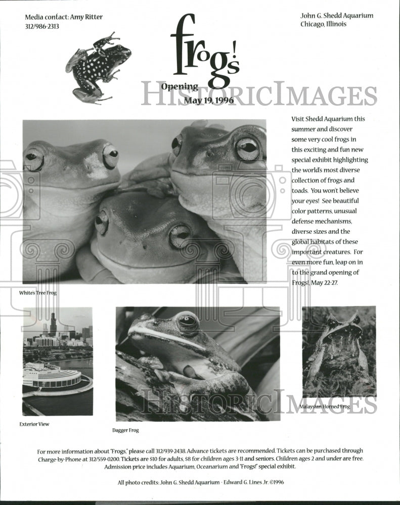 John G. Shedd Frog Exhibit Chicago Illinois - Historic Images