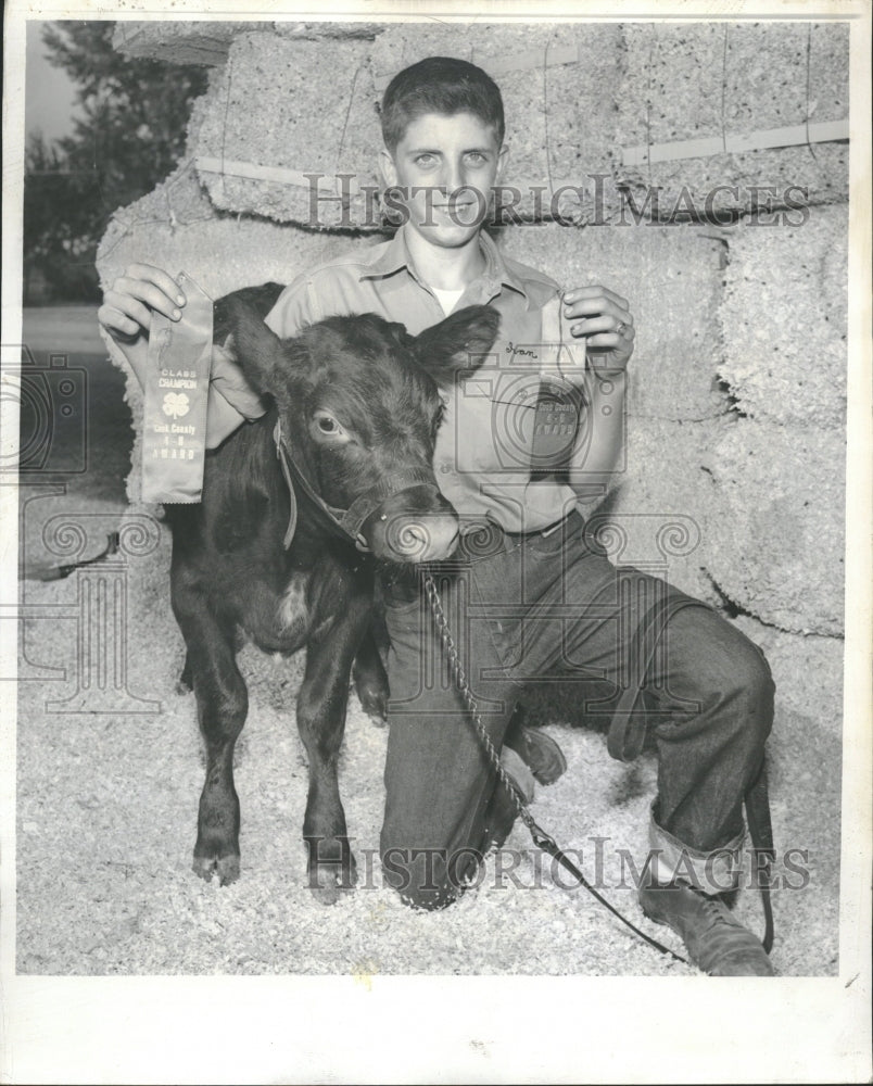 1954 Ivan Reid Junior 4-H Shorthorn Calf - Historic Images