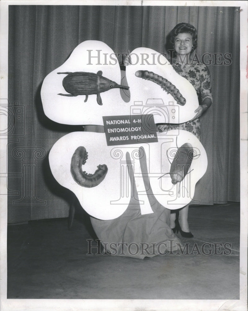 1962 4-H Clubs entomology program - Historic Images