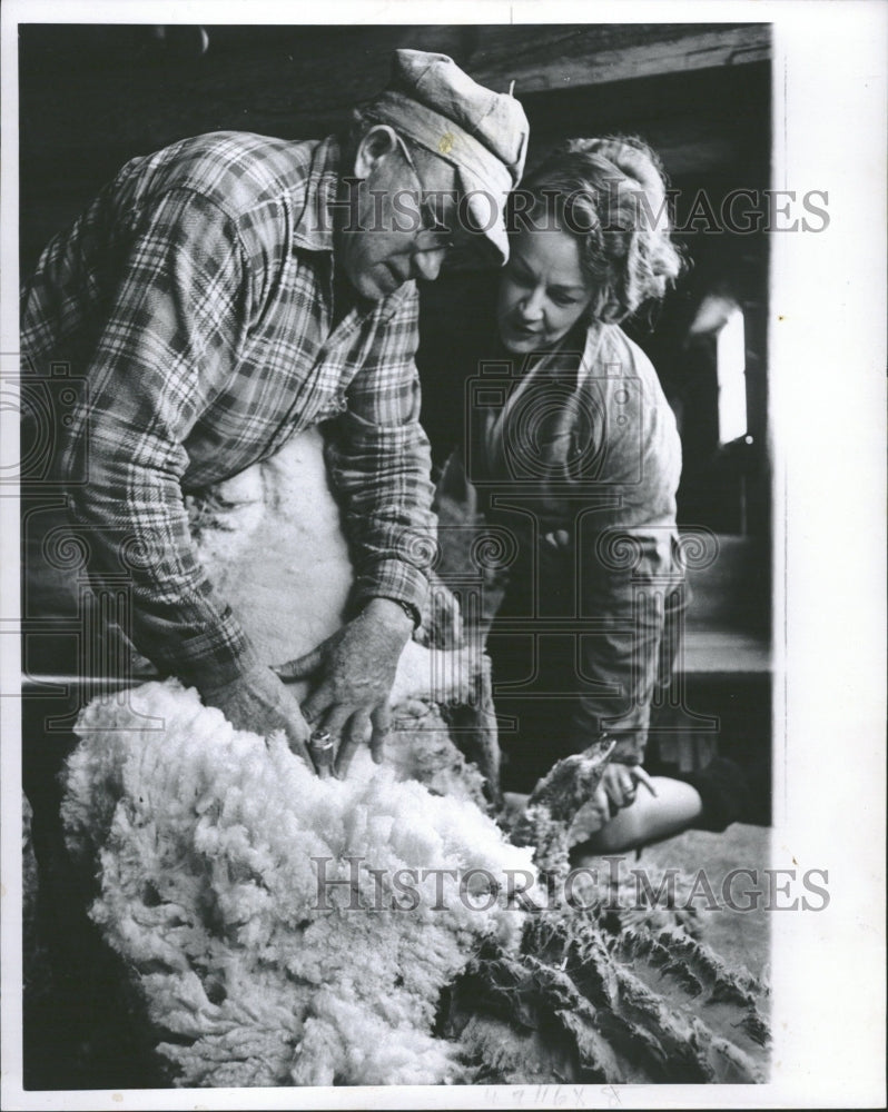 1965 Segel sheep shearer skin disease - Historic Images