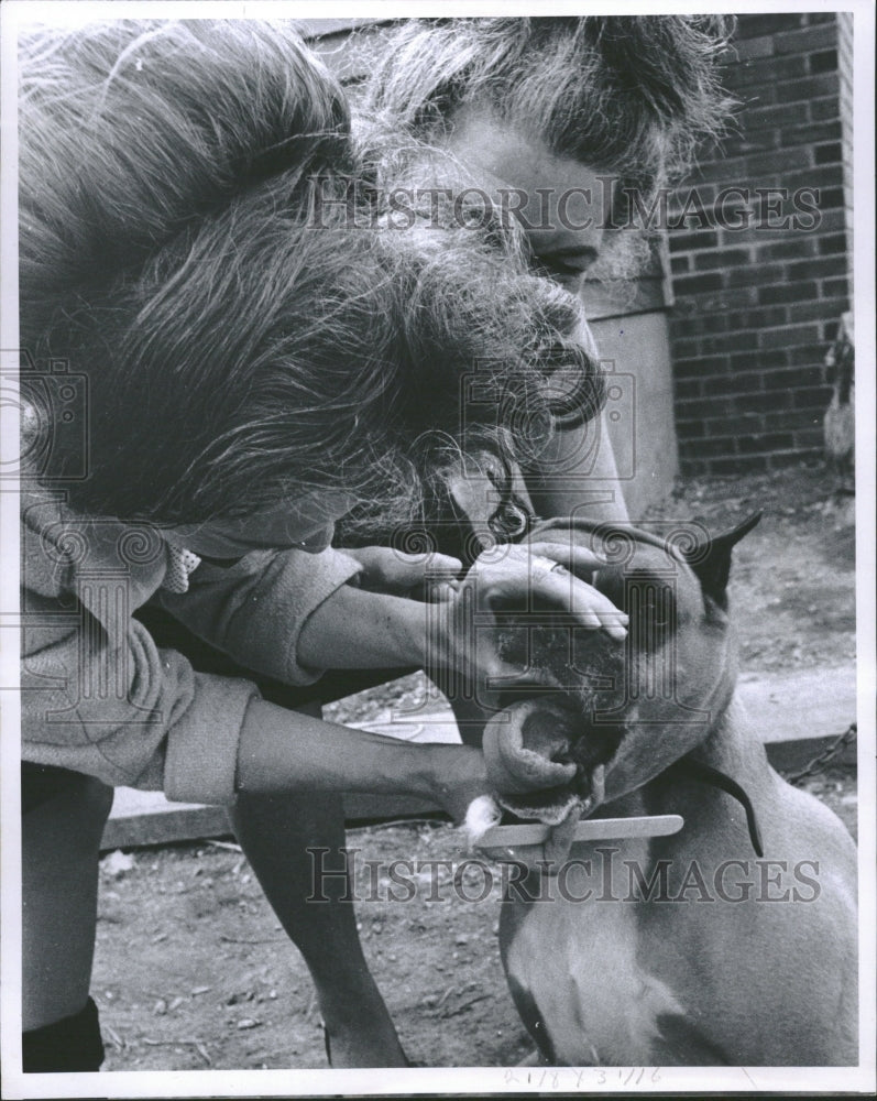 1965 Women examines boxer&#39;s mouth - Historic Images