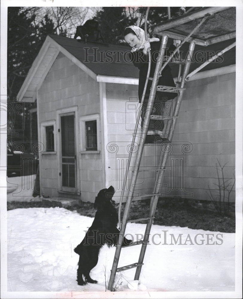 1954 Sullivan Dog Trainer ladder Island Ice - Historic Images