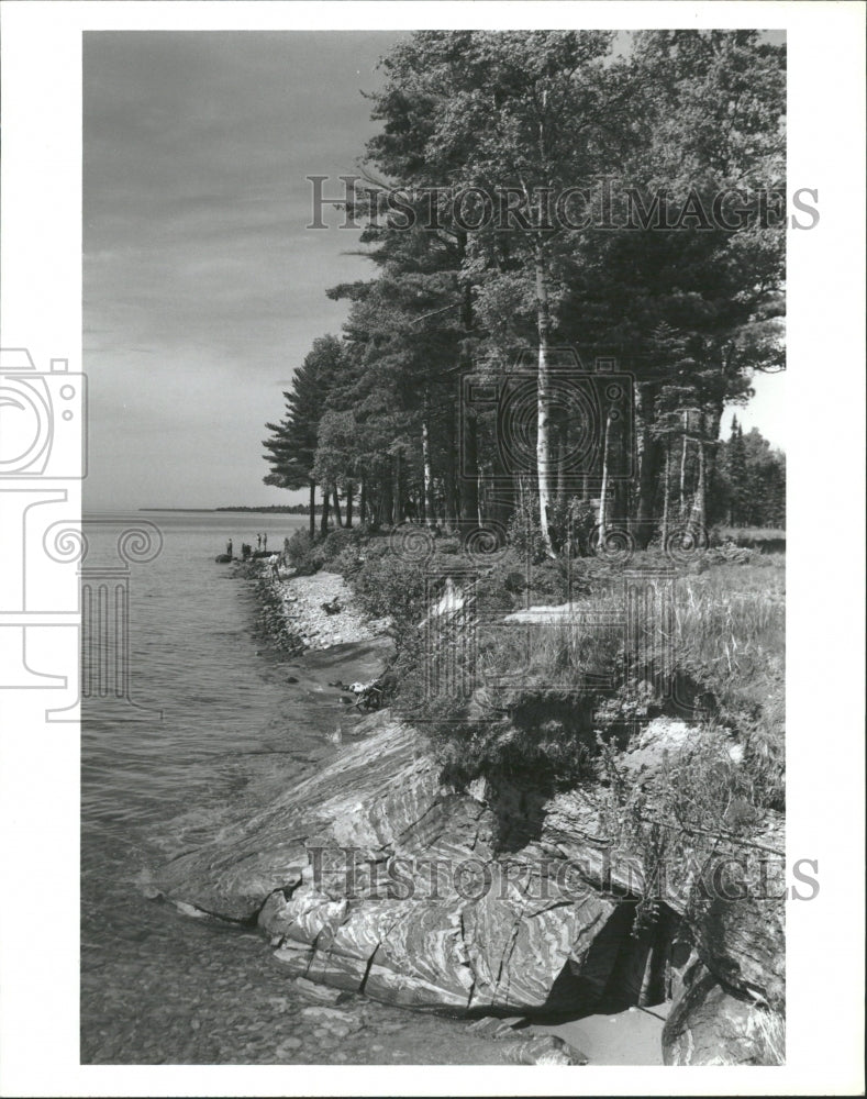 1987 Superior Lake People Standing Trees - Historic Images