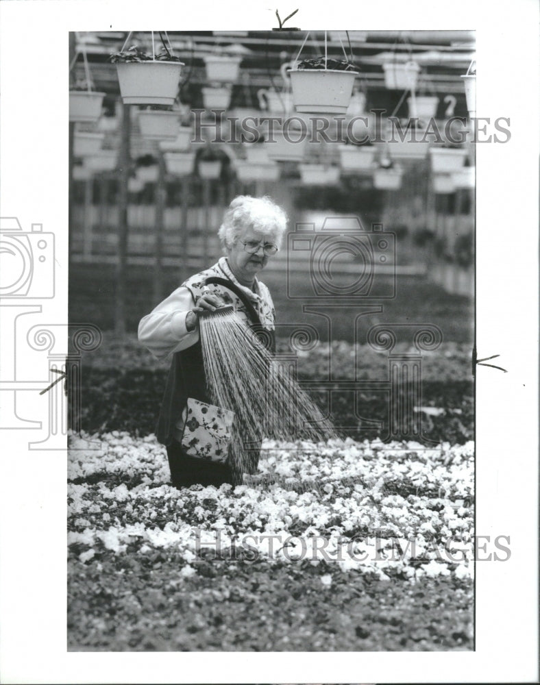 1993 Dick &amp; Don Greenhouse Michigan - Historic Images