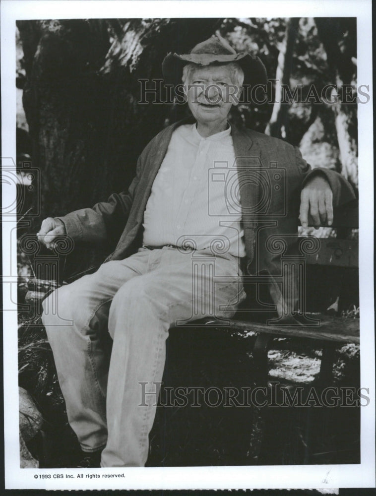 1993 Buddy Ebsen American Character Actor - Historic Images