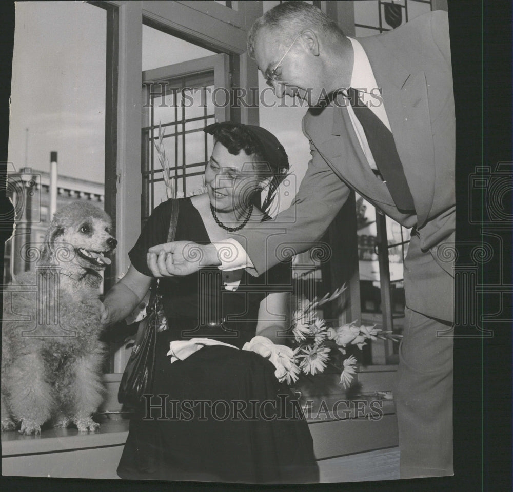 1952  Otto Karl Bach Bichonne french poodle - Historic Images