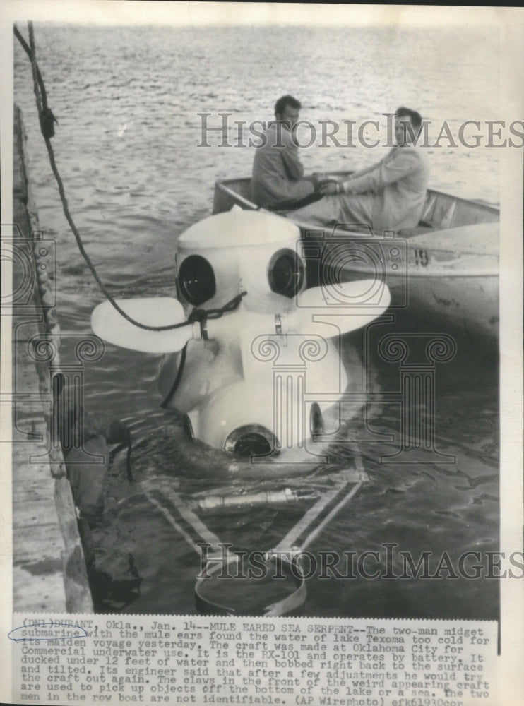 1955 MULE EARED SEA SURPENT - Historic Images