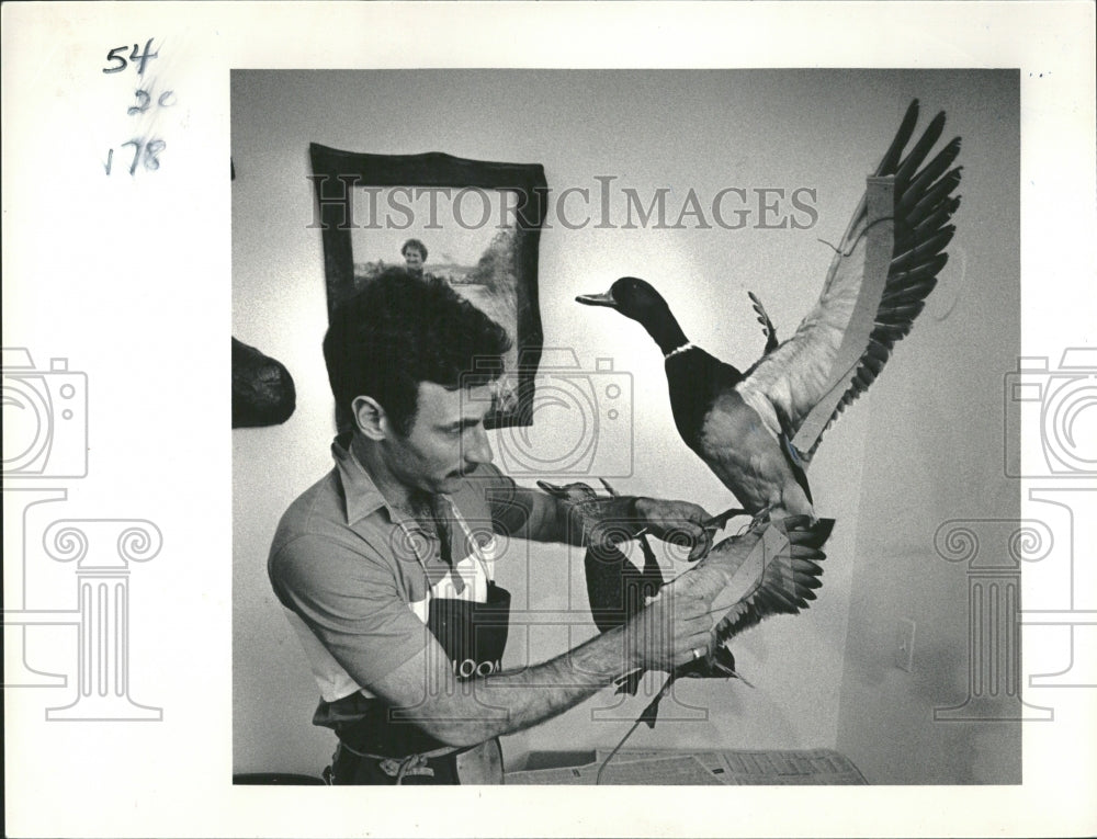 1989 Terry Doyle works ducks Lyn Alweis - Historic Images