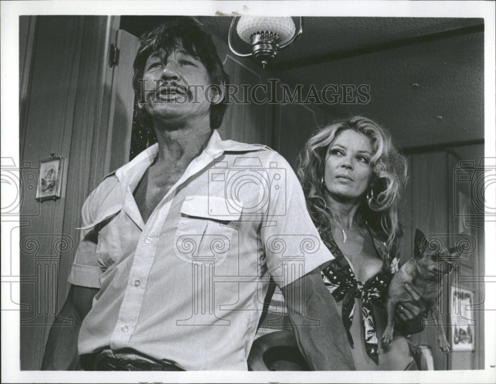 1977 Charles Bronson American Actor tough - Historic Images