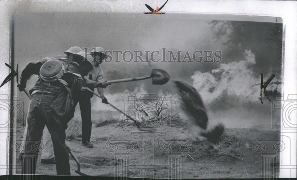 1956 Cleveland National Forest Fire - Historic Images