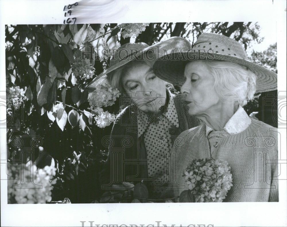 1988 Bette Davis Film Actress Lillian Gish - Historic Images