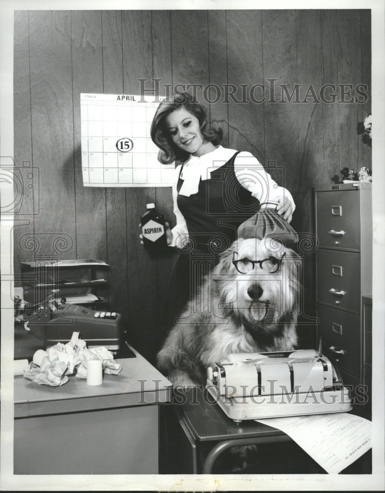 1964 Actress Meredith MacRay With Dog Tramp - Historic Images