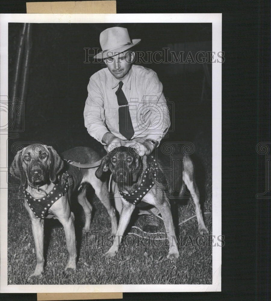 1950 Carl Olson and his bloodhounds - Historic Images