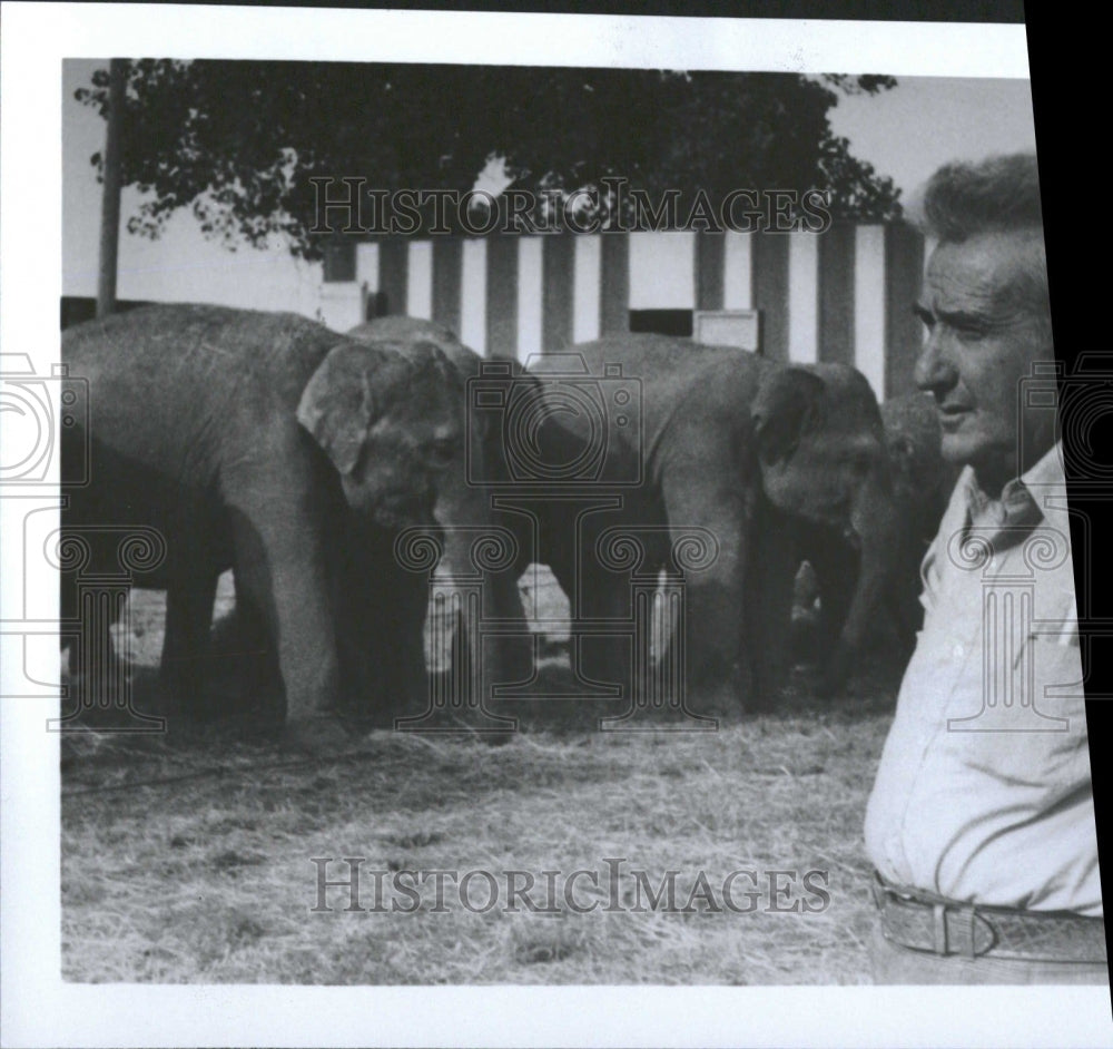 1981 Elephant Large Mammal Carson Director - Historic Images