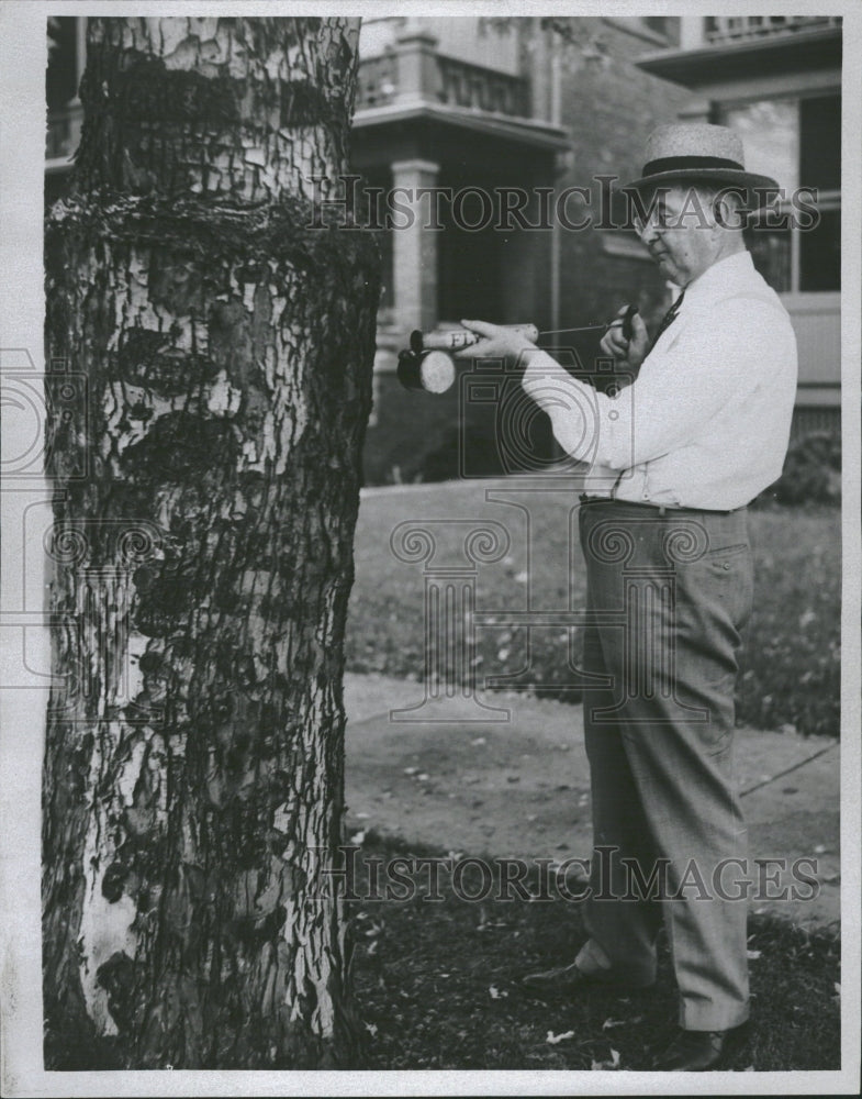 1935 Trees Disease - Historic Images
