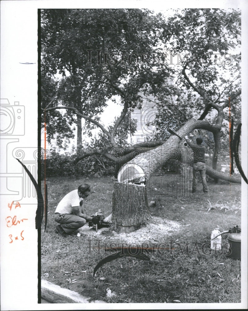 1970 Bill Ritchie Detroit Parks Forestry - Historic Images